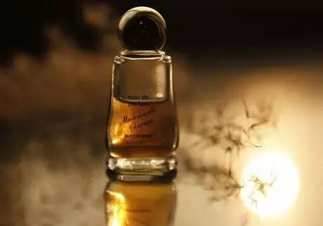 what?。俊跋恪逼G的美女成了辦公室污染源，甲醛治理非常必要！