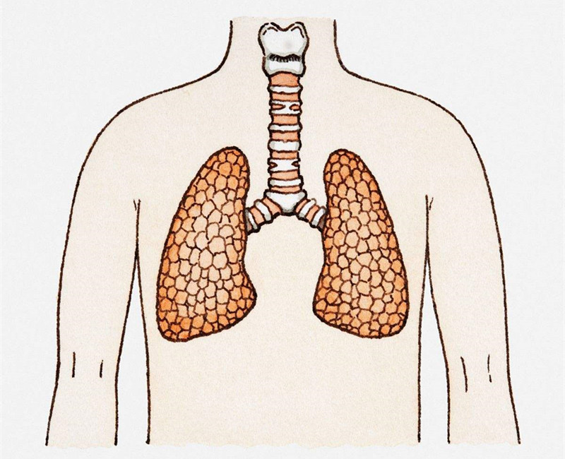 如何進(jìn)行甲醛治理？沒(méi)有治理過(guò)的空氣就像虐待肺