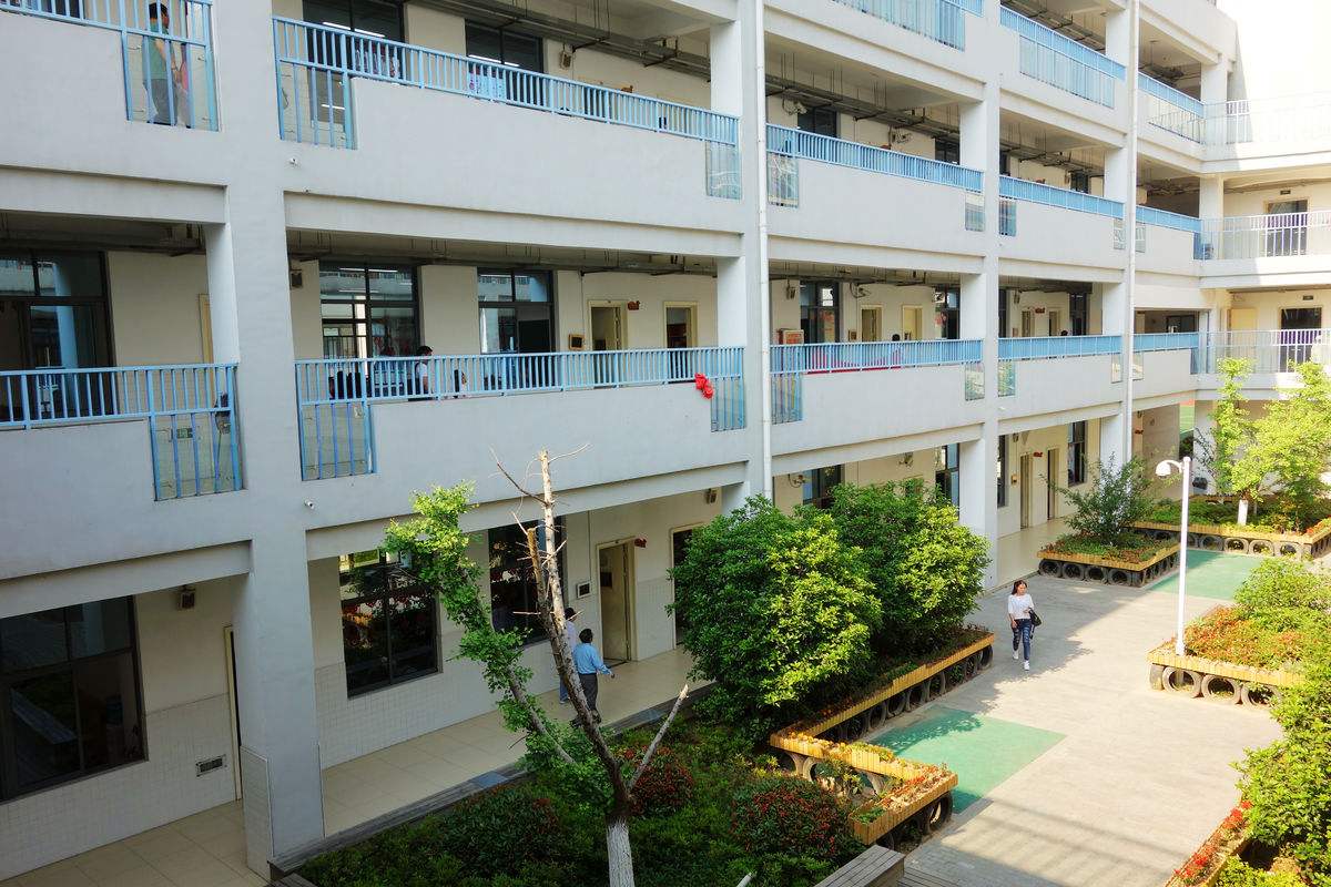 校舍裝修完買了400盆綠蘿凈化空氣，還有孩子開學***天就熏暈了！