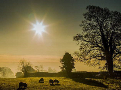 僅靠通風(fēng)換氣去除甲醛？這樣入住很危險(xiǎn)哦！