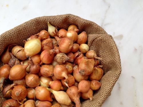 那些年，令我們哭笑不得的除甲醛經(jīng)歷……