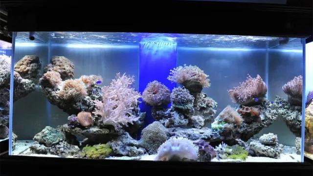 家中旺位和衰位在哪里？三分鐘學習室內(nèi)風水學