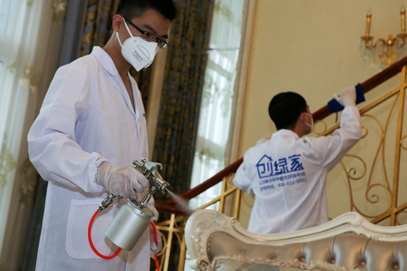 什么植物可以凈化空氣？