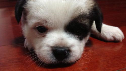 床墊薄膜要撕嗎？不僅要撕還要除甲醛！