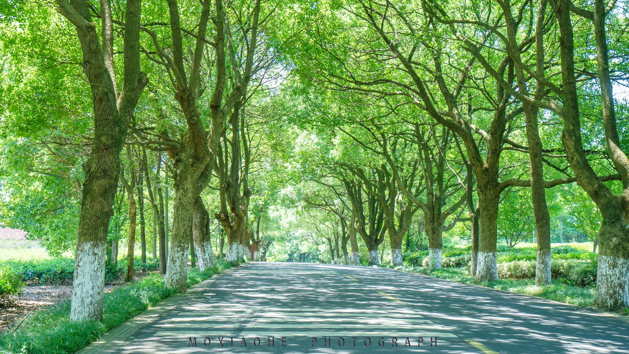 #助力高考# 保存好你的高考準(zhǔn)考證，創(chuàng)綠家送您安“醛”一夏！