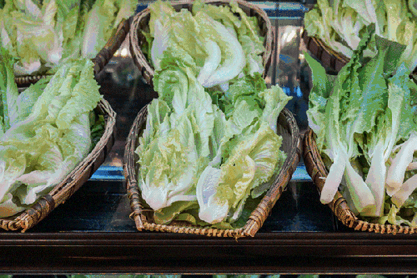 夏至高溫預(yù)警！消暑養(yǎng)生秘笈了解一下？