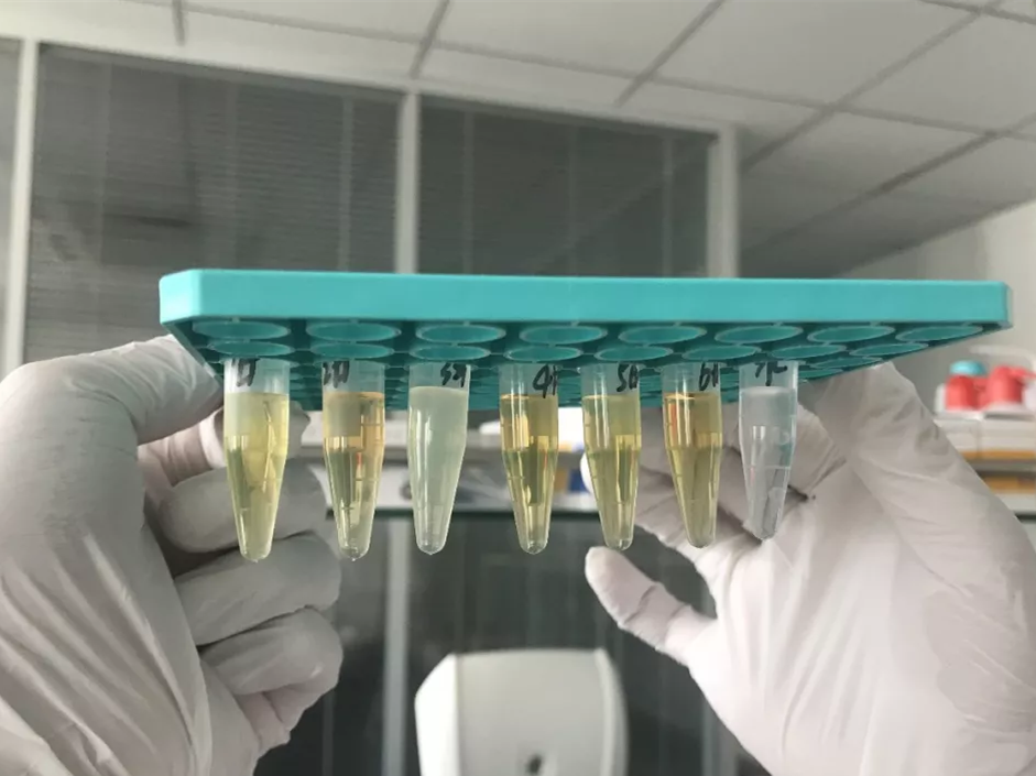 水煮花生含甲醛？實(shí)測多家燒烤店結(jié)果太可怕！