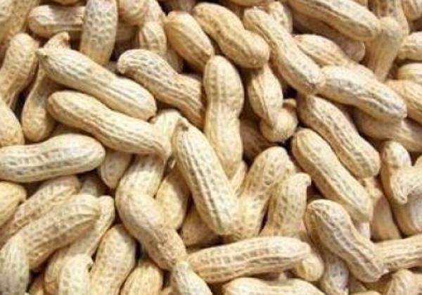 水煮花生含甲醛？實(shí)測多家燒烤店結(jié)果太可怕！