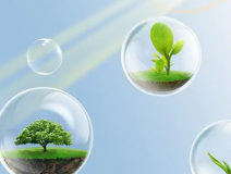 這些甲醛的危害你知道嗎？