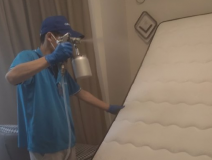 甲醛治理什么方法好？