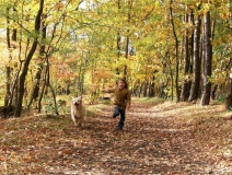 為什么秋季裝修異味這么重？甲醛超標(biāo)怎么辦