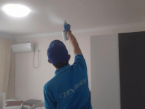 除甲醛的好方法有哪些？